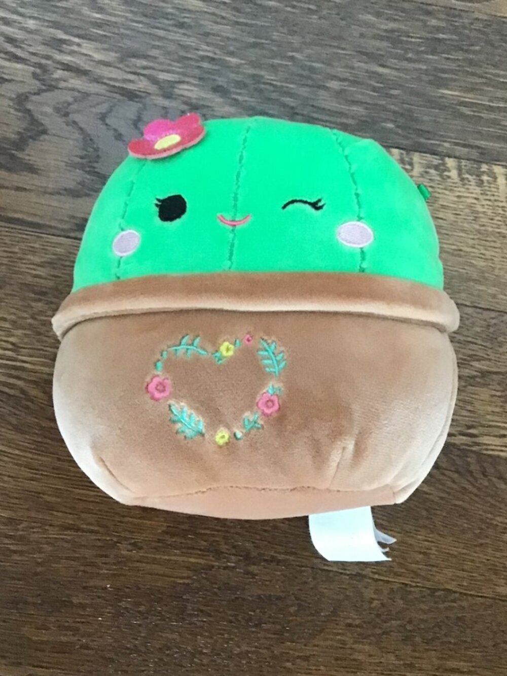 Small Cactus Squishmallow NWOT